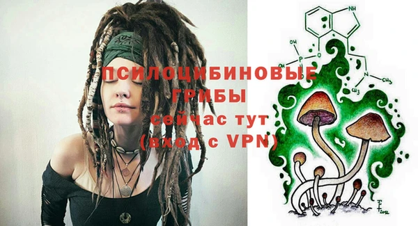 сатива Абдулино