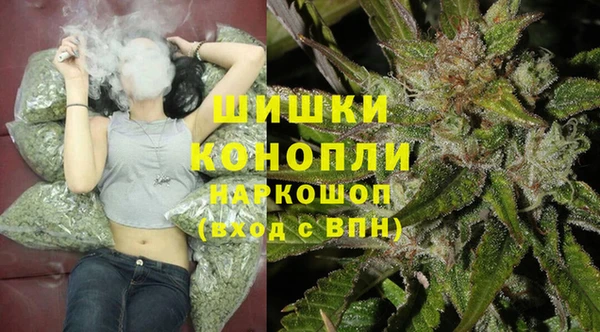 сатива Абдулино