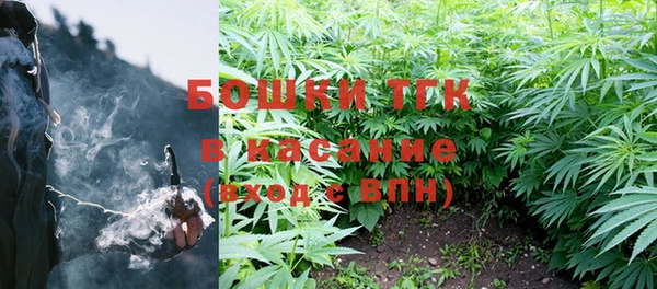 PSILOCYBIN Гусиноозёрск