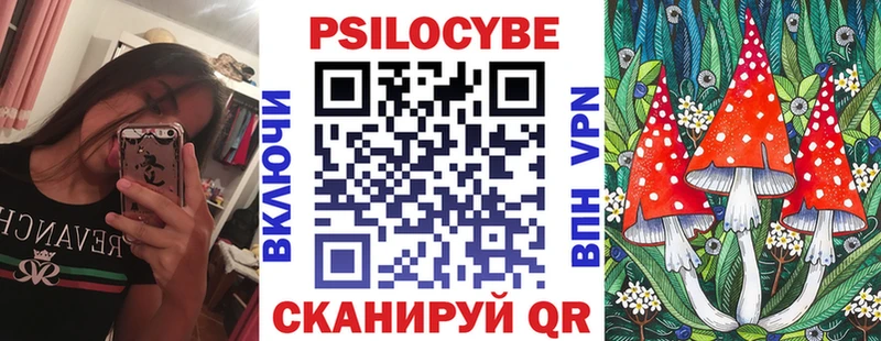 kraken вход Каневская Галлюциногенные грибы Psilocybe